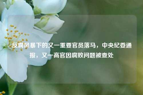 反腐风暴下的又一重要官员落马，中央纪委通报，又一高官因腐败问题被查处
