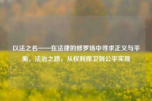 以法之名——在法律的修罗场中寻求正义与平衡，法治之路，从权利捍卫到公平实现