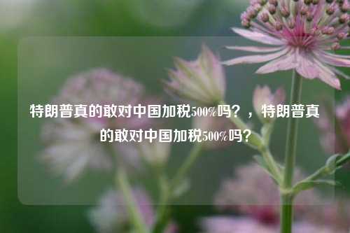 特朗普真的敢对中国加税500%吗？，特朗普真的敢对中国加税500%吗？