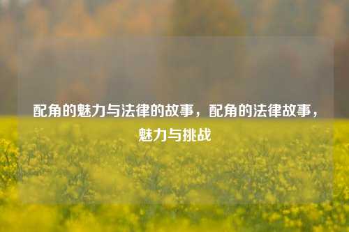 配角的魅力与法律的故事，配角的法律故事，魅力与挑战