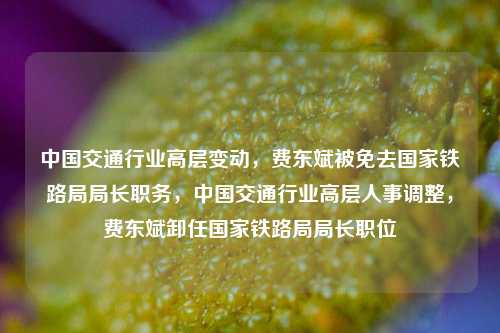 中国交通行业高层变动，费东斌被免去国家铁路局局长职务，中国交通行业高层人事调整，费东斌卸任国家铁路局局长职位