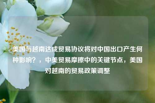 美国与越南达成贸易协议将对中国出口产生何种影响？，中美贸易摩擦中的关键节点，美国对越南的贸易政策调整