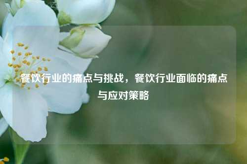 餐饮行业的痛点与挑战，餐饮行业面临的痛点与应对策略