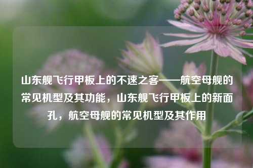 山东舰飞行甲板上的不速之客——航空母舰的常见机型及其功能，山东舰飞行甲板上的新面孔，航空母舰的常见机型及其作用