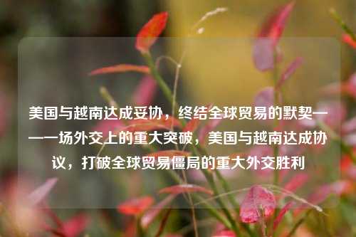 美国与越南达成妥协，终结全球贸易的默契——一场外交上的重大突破，美国与越南达成协议，打破全球贸易僵局的重大外交胜利