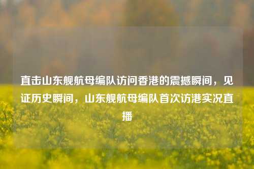 直击山东舰航母编队访问香港的震撼瞬间，见证历史瞬间，山东舰航母编队首次访港实况直播