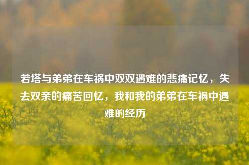 若塔与弟弟在车祸中双双遇难的悲痛记忆，失去双亲的痛苦回忆，我和我的弟弟在车祸中遇难的经历
