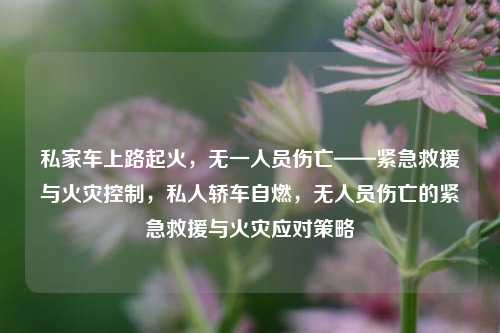 私家车上路起火，无一人员伤亡——紧急救援与火灾控制，私人轿车自燃，无人员伤亡的紧急救援与火灾应对策略