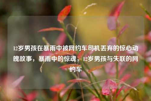 12岁男孩在暴雨中被网约车司机丢弃的惊心动魄故事，暴雨中的惊魂，12岁男孩与失联的网约车