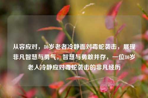 从容应对，80岁老者冷静面对毒蛇袭击，展现非凡智慧与勇气，智慧与勇敢并存，一位80岁老人冷静应对毒蛇袭击的非凡经历
