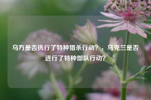 乌方是否执行了特种猎杀行动？，乌克兰是否进行了特种部队行动？