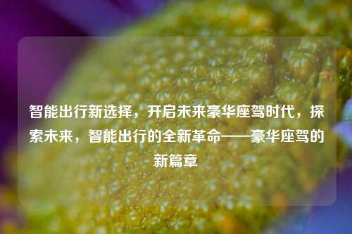 智能出行新选择，开启未来豪华座驾时代，探索未来，智能出行的全新革命——豪华座驾的新篇章