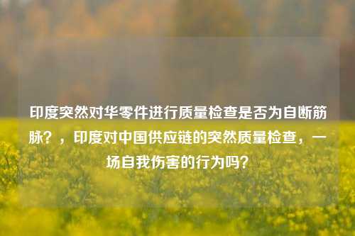 印度突然对华零件进行质量检查是否为自断筋脉？，印度对中国供应链的突然质量检查，一场自我伤害的行为吗？
