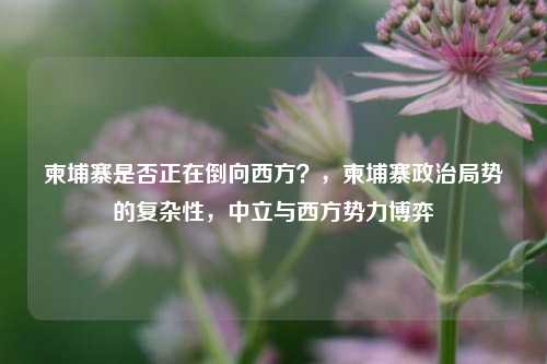 柬埔寨是否正在倒向西方？，柬埔寨政治局势的复杂性，中立与西方势力博弈