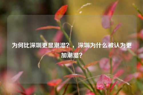 为何比深圳更显潮湿？，深圳为什么被认为更加潮湿？