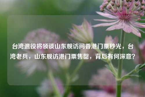 台湾退役将领谈山东舰访问香港门票秒光，台湾老兵，山东舰访港门票售罄，背后有何深意？