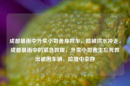 成都暴雨中外卖小哥舍身救车，险被洪水冲走，成都暴雨中的紧急救援，外卖小哥舍生忘死救出被困车辆，险境中幸存