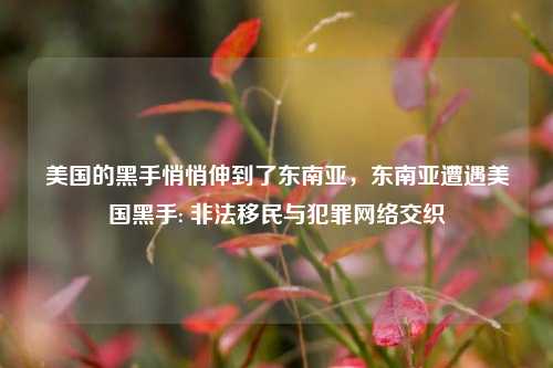 美国的黑手悄悄伸到了东南亚，东南亚遭遇美国黑手: 非法移民与犯罪网络交织