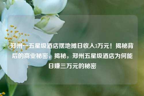 郑州一五星级酒店摆地摊日收入3万元！揭秘背后的商业秘密，揭秘，郑州五星级酒店为何能日赚三万元的秘密