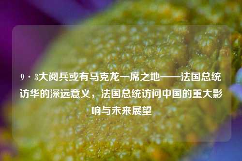 9·3大阅兵或有马克龙一席之地——法国总统访华的深远意义，法国总统访问中国的重大影响与未来展望