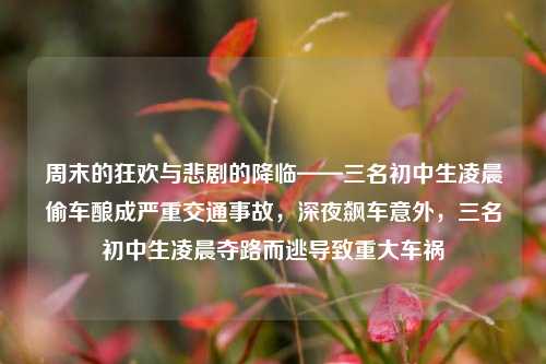 周末的狂欢与悲剧的降临——三名初中生凌晨偷车酿成严重交通事故，深夜飙车意外，三名初中生凌晨夺路而逃导致重大车祸
