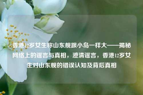香港12岁女生称山东舰跟小岛一样大——揭秘网络上的谣言与真相，澄清谣言，香港12岁女生对山东舰的错误认知及背后真相