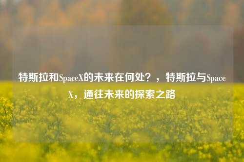 特斯拉和SpaceX的未来在何处？，特斯拉与SpaceX，通往未来的探索之路