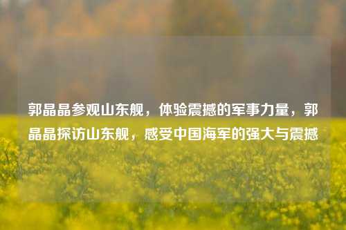郭晶晶参观山东舰，体验震撼的军事力量，郭晶晶探访山东舰，感受中国海军的强大与震撼