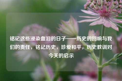 铭记这些浸染血泪的日子——历史的回响与我们的责任，铭记历史，珍爱和平，历史教训对今天的启示