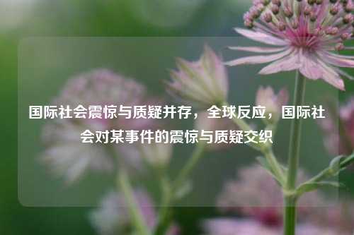 国际社会震惊与质疑并存，全球反应，国际社会对某事件的震惊与质疑交织