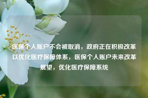 医保个人账户不会被取消，政府正在积极改革以优化医疗保障体系，医保个人账户未来改革展望，优化医疗保障系统