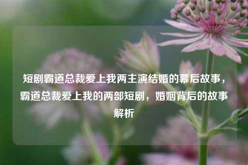 短剧霸道总裁爱上我两主演结婚的幕后故事，霸道总裁爱上我的两部短剧，婚姻背后的故事解析