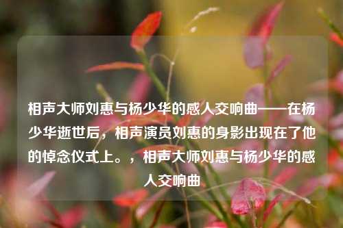 相声大师刘惠与杨少华的感人交响曲——在杨少华逝世后，相声演员刘惠的身影出现在了他的悼念仪式上。，相声大师刘惠与杨少华的感人交响曲