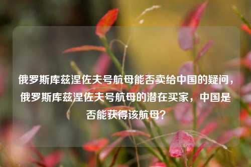 俄罗斯库兹涅佐夫号航母能否卖给中国的疑问，俄罗斯库兹涅佐夫号航母的潜在买家，中国是否能获得该航母？