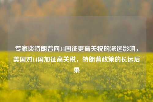 专家谈特朗普向14国征更高关税的深远影响，美国对14国加征高关税，特朗普政策的长远后果