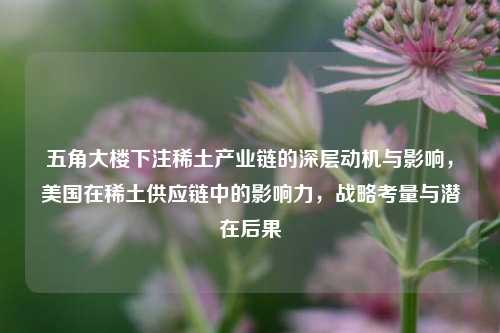 五角大楼下注稀土产业链的深层动机与影响，美国在稀土供应链中的影响力，战略考量与潜在后果