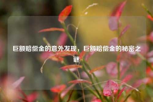 巨额赔偿金的意外发现，巨额赔偿金的秘密之谜