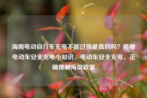 海南电动自行车充电不能过夜是真的吗？揭秘电动车安全充电小知识，电动车安全充电，正确理解海南政策