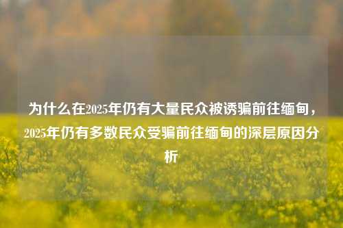 为什么在2025年仍有大量民众被诱骗前往缅甸，2025年仍有多数民众受骗前往缅甸的深层原因分析