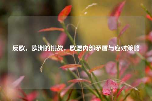 反欧，欧洲的挑战，欧盟内部矛盾与应对策略