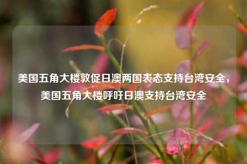 美国五角大楼敦促日澳两国表态支持台湾安全，美国五角大楼呼吁日澳支持台湾安全