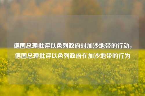 德国总理批评以色列政府对加沙地带的行动，德国总理批评以色列政府在加沙地带的行为