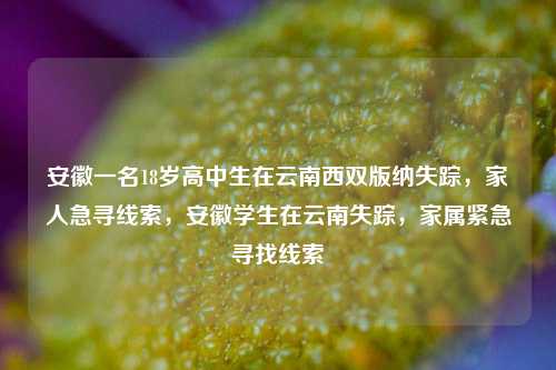 安徽一名18岁高中生在云南西双版纳失踪，家人急寻线索，安徽学生在云南失踪，家属紧急寻找线索