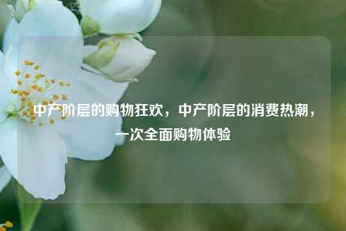 中产阶层的购物狂欢，中产阶层的消费热潮，一次全面购物体验