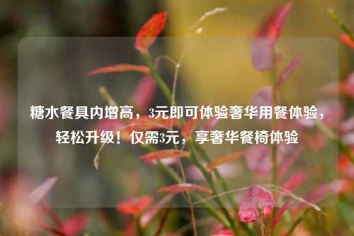糖水餐具内增高，3元即可体验奢华用餐体验，轻松升级！仅需3元，享奢华餐椅体验