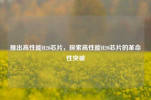 推出高性能H20芯片，探索高性能H20芯片的革命性突破