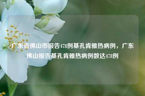 广东省佛山市报告478例基孔肯雅热病例，广东佛山报告基孔肯雅热病例数达478例