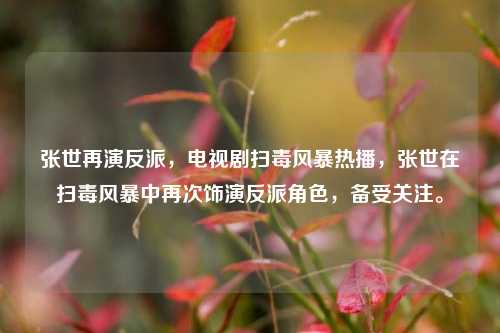 张世再演反派，电视剧扫毒风暴热播，张世在扫毒风暴中再次饰演反派角色，备受关注。