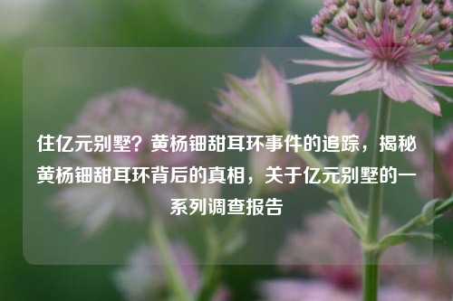 住亿元别墅？黄杨钿甜耳环事件的追踪，揭秘黄杨钿甜耳环背后的真相，关于亿元别墅的一系列调查报告