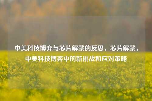 中美科技博弈与芯片解禁的反思，芯片解禁，中美科技博弈中的新挑战和应对策略